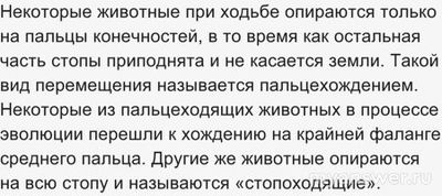 Пальцеходящие, но не фалангоходящие — каких животных выбрать из списка?