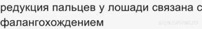Пальцеходящие, но не фалангоходящие — каких животных выбрать из списка?