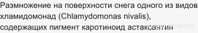 Какова причина выпадения розового снега в горах Кольского п/о в 2023?