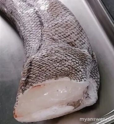 Макрурус как приготовить в мультиварке?