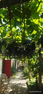 Что Вам больше по душе - кемпинг или благоустроенные номера?