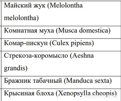Как установить соответствие между личинкой и взрослым насекомым?