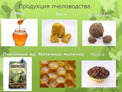 Продукт пчеловодства - какое слово 8 букв?