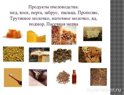 Продукт пчеловодства - какое слово 8 букв?