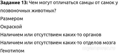 Чем могут отличаться самцы от самок у позвоночных животных?