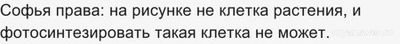 Как решить: Софья и Артём рассматривали схему строения клетки и поспорили?