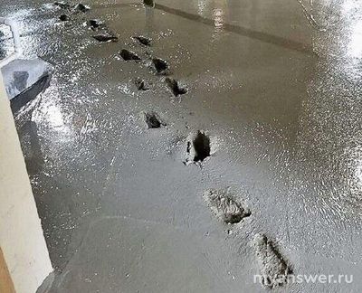 Какие предложения со словосочетанием "оставить след" составить?