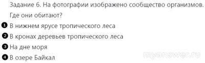 На фотографии изображено сообщество организмов, где Где они обитают?