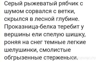 Соколов-Микитов "Русский лес": какие приметы леса выделяет писатель?