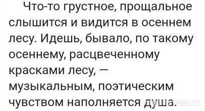 Соколов-Микитов "Русский лес": какие приметы леса выделяет писатель?