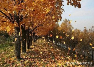 2 кл Придуманный рассказ или стихотворение на тему осень, пример где найти?