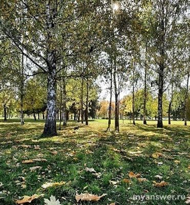 Какие чувства пробуждает в нас сентябрь? Печалиться иль радоваться надо?