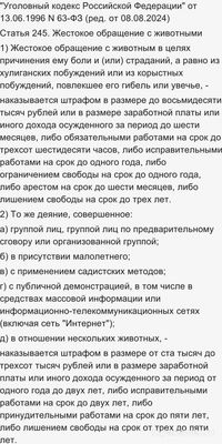 Как вычислить соседа, который травит кошку отравленной едой?