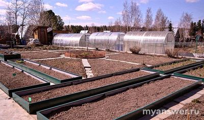 Как подготовить грядки к зиме?