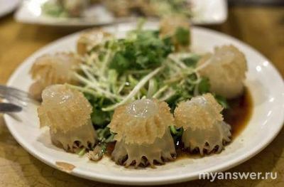 Бердянск и Кирилловка больше не курорты из-за медуз, Ваше мнение?