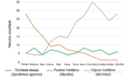 Какой из выводов натуралиста Игоря о мелких грызунах является корректным?