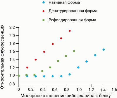 ВСОШ 9.10.2024, как ответить: 11-тиклассник Артём изучает опред. белок?