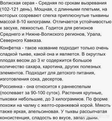 Какие виды тыкв существуют?