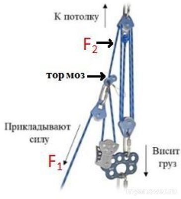 Какой выигрыш в силе дает подвижный блок?