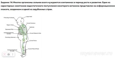 Как ответить: многие организмы сильнее всего нуждаются в витаминах?