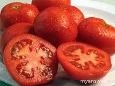 Кому и почему нельзя есть помидоры, в чём причина?