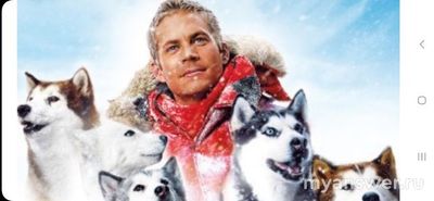 Как умер Пол Уокер, что знаете о личном?