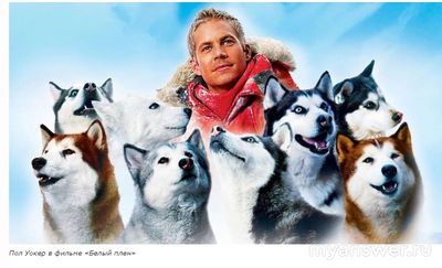 Как умер Пол Уокер, что знаете о личном?