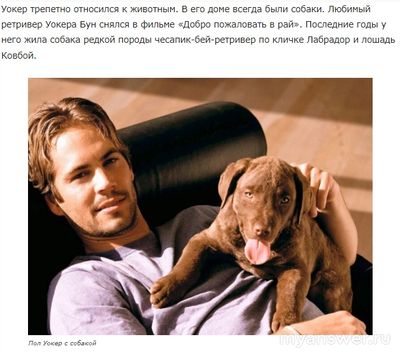 Как умер Пол Уокер, что знаете о личном?