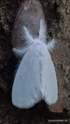 Осталось ли что-то, чему вы готовы искренне удивляться? Поделитесь?