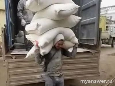 Что лучше после института работать грузчиком или сидеть на авито и почему?