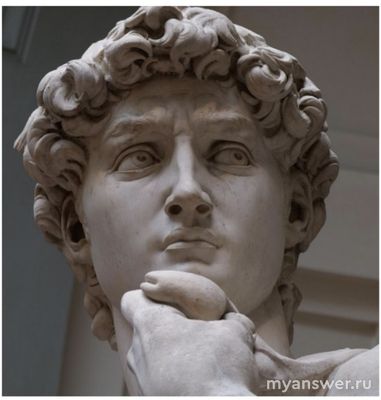 ВсОШ. Распределите изображения на две группы и назовите их...(см.)?