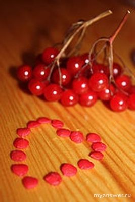 У какого растения есть косточка, похожая на художеств. изображение сердца?