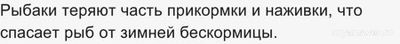 Почему подледная рыбалка положительно сказывается на выживаемости рыб (см)?