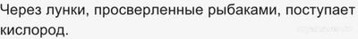 Почему подледная рыбалка положительно сказывается на выживаемости рыб (см)?