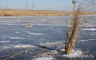 Почему подледная рыбалка положительно сказывается на выживаемости рыб (см)?