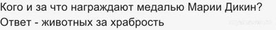 28.09.2024 «Пятеро на одного». Какие вопросы, ответы?