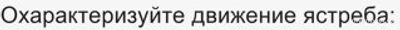 Как решить: Охотясь на мышь ястреб летит так что остаётс всё время над ней?