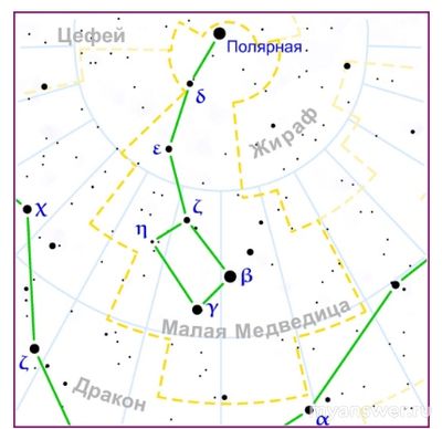Как решить: Размеры созвездий принято характеризовать телесным углом?