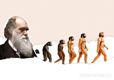 Что в теории происхождения Ч. Дарвина не устраивает современную церковь?