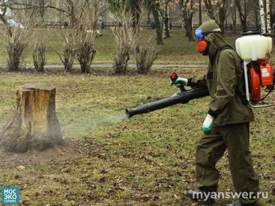Почему в городах РФ исчез жук, майский, водолюб?