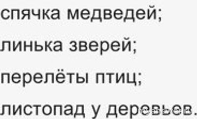 Как соотнести экологические ритмы с двумя типами (см)?