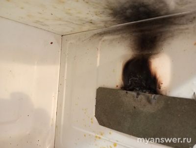 Микроволновке хана, сгорела ли она окончательно (см. фото)?