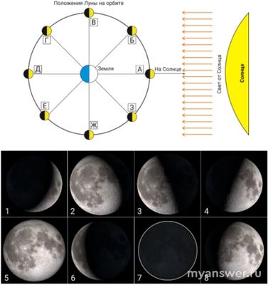 Как решить: На рисунке представлены Солнце, Земля и орбита Луны?