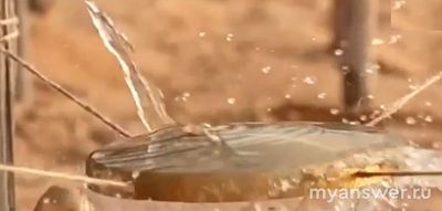 Выжить в Дубае 15.09.24 ушли Андрей Зубенко и Саша Стоун, заслуженно?