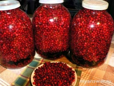 Как заготовить бруснику на зиму без консервации, варки и холодильника?