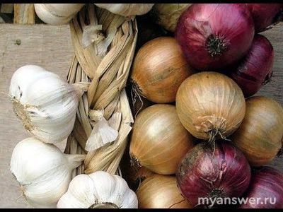 Можно ли хранить овощи вместе?