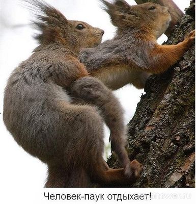 Какие у вас в жизни есть удовольствия, повышающие иммунитет?