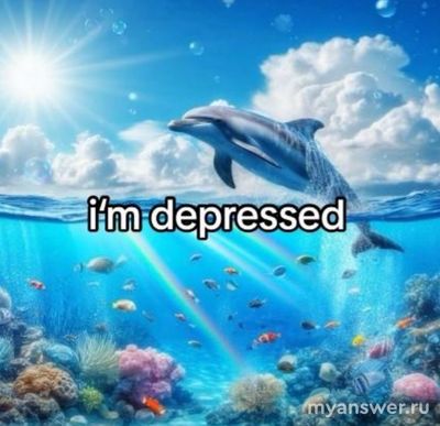 Мем с дельфинами и радугой: откуда пошел?