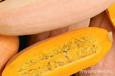 Много ли семян внутри тыквы Розовый Банан?