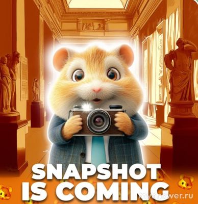 20.09.2024 в Хамстер Комбат будет Снэпшот. Что такое Snapshot, что он даёт?